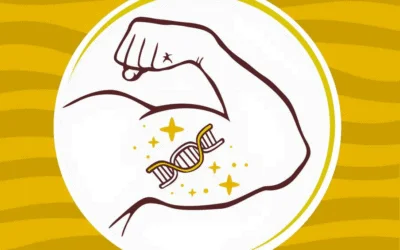 BCAA: Energia y Desarrollo Muscular